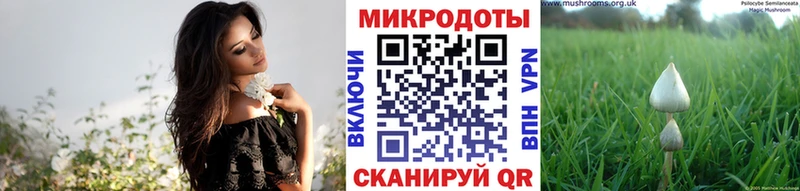 закладки  Копейск  Галлюциногенные грибы мицелий 